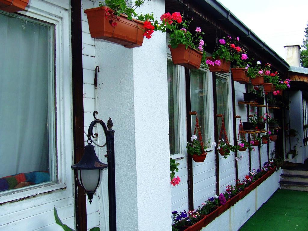 Hostel Domestika Bitola Værelse billede